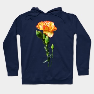 Carnations - One Red-Tipped Yellow Carnation Hoodie